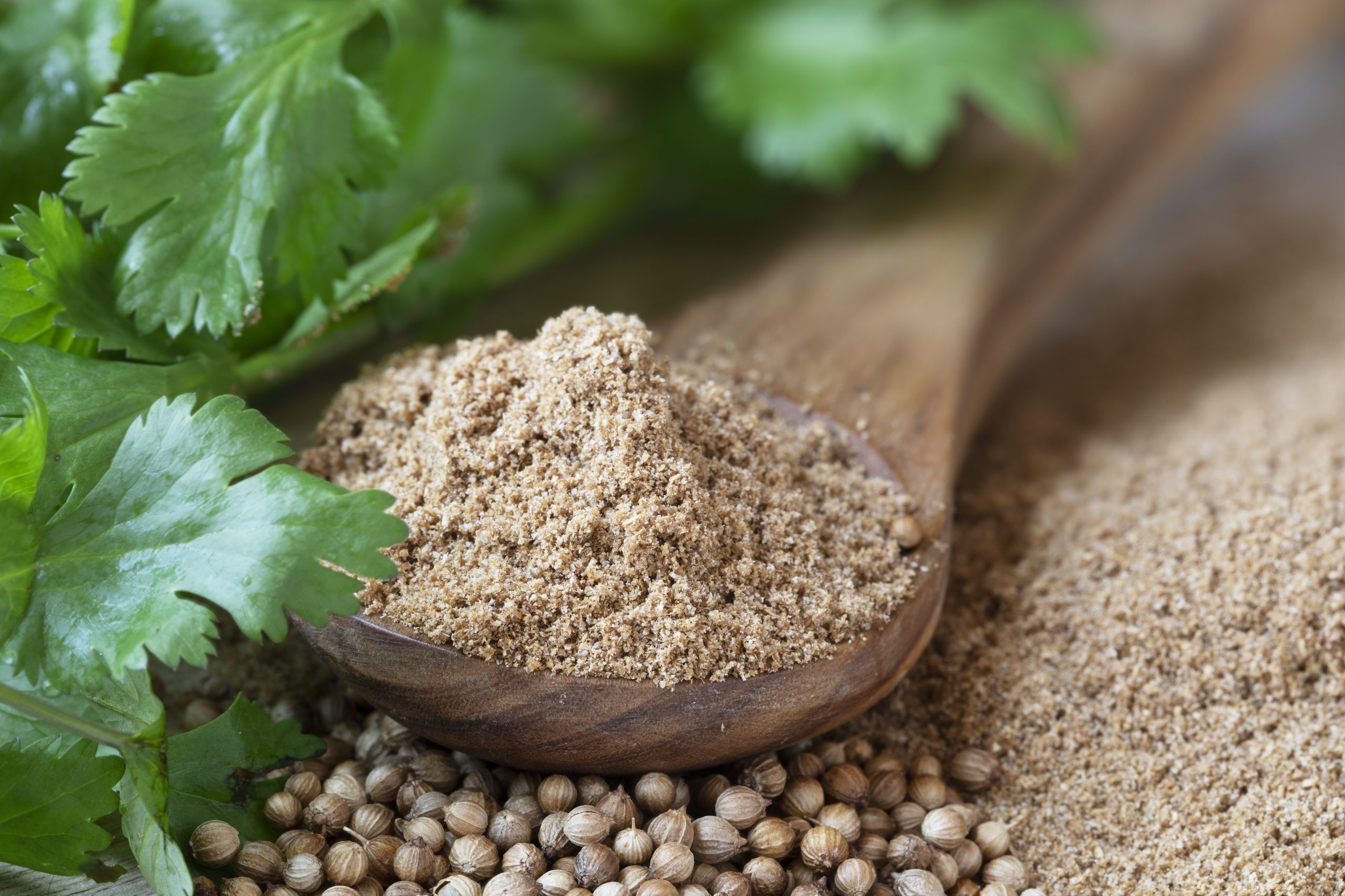 Ground coriander