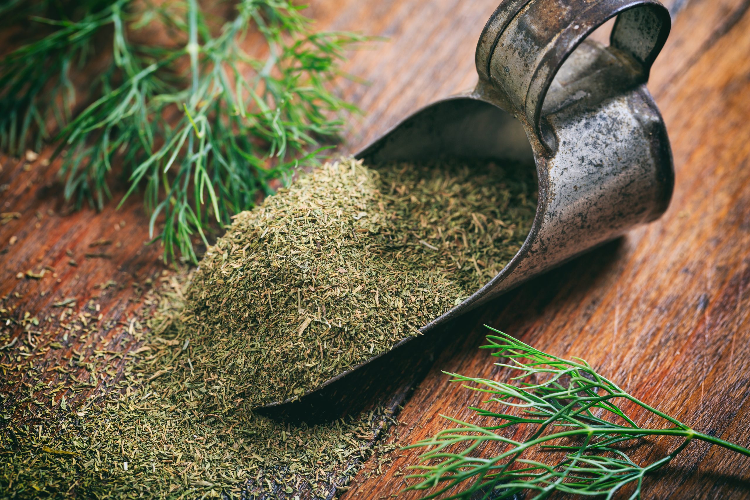 Dried ground dill