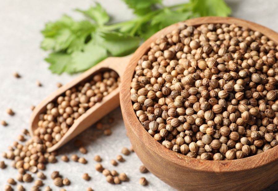 Coriander seed in a wooden bowl