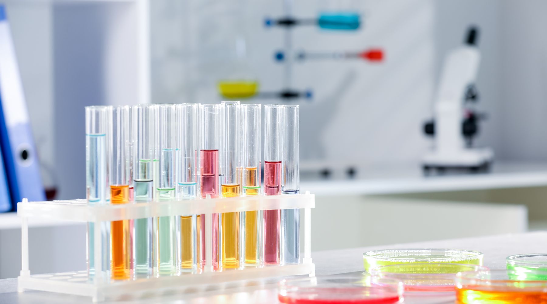 A rack of test tubes with coloured samples in the laboratory