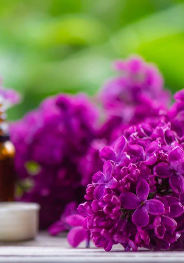 A bottle of essential oil beside lilac